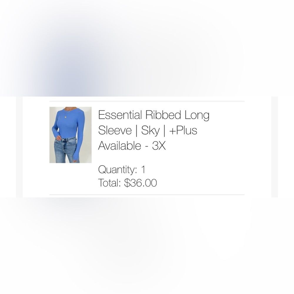 TALULAH essential ribbed long sleeve - SKY - Picture 4 of 4